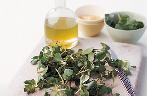 lambs lettuce and watercress with classic vinaigrette thumbnail